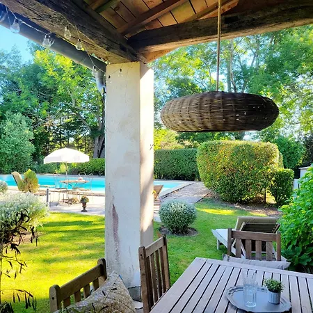 Des Souris Dans Le Grenier *