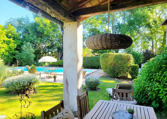 Des Souris Dans Le Grenier *